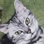 moga さんのプロフィール写真